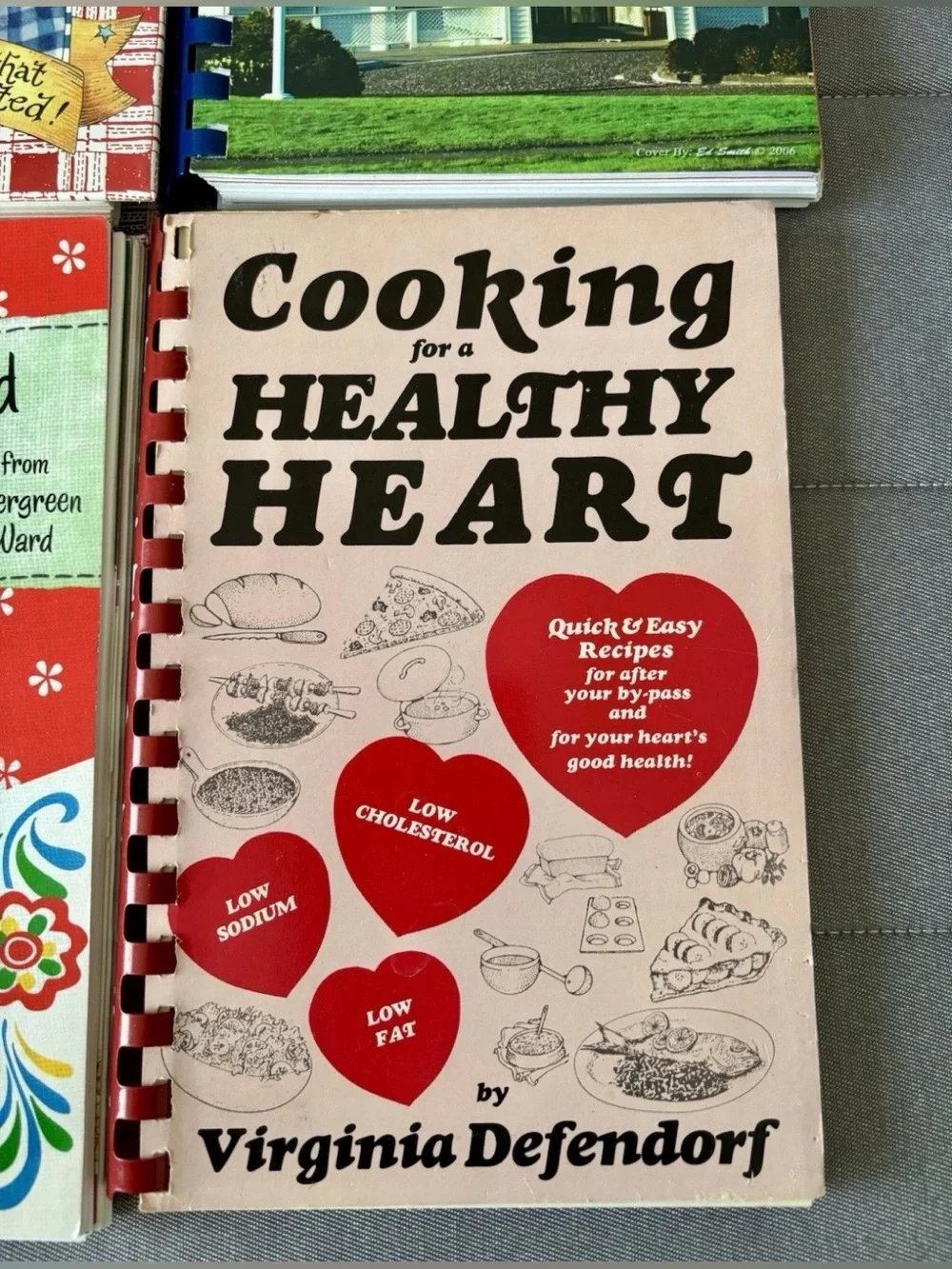 Assorted Cookbook Lot – Red, Blue, Green, Pink Covers